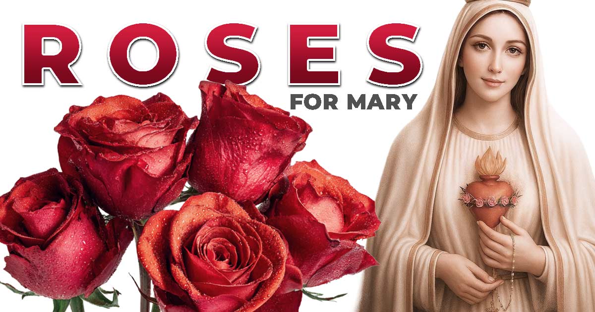 Roses for Mary