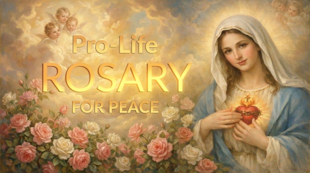 Pro-Life Rosary For Peace